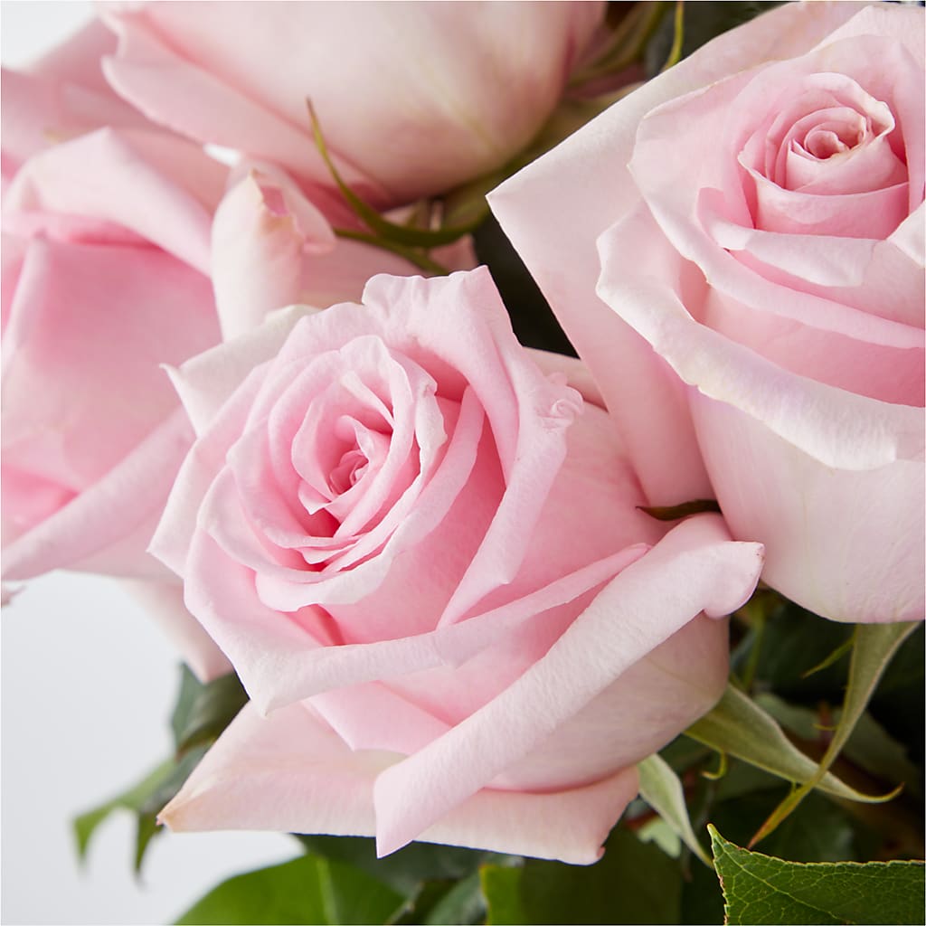 Picture Perfect Pink Rose Bouquet –  The Colonial Florist And Gift Shop, Huntingdon PA