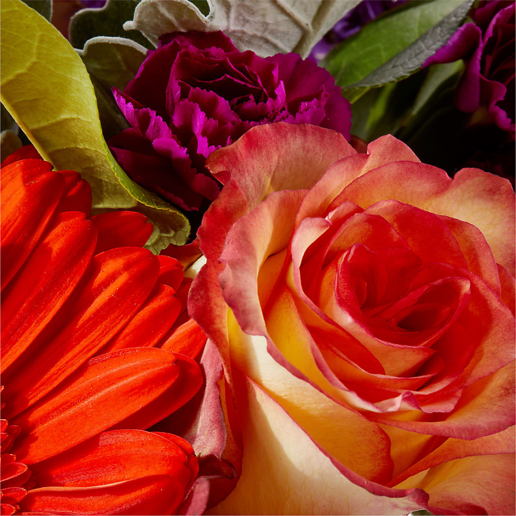 Sangria Bouquet –  The Colonial Florist And Gift Shop, Huntingdon PA