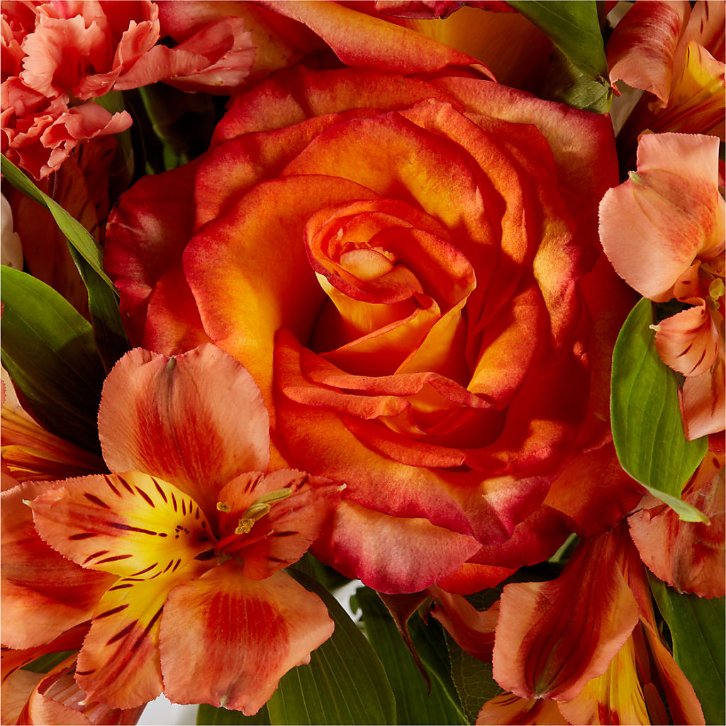Apricot Glow Bouquet –  The Colonial Florist And Gift Shop, Huntingdon PA