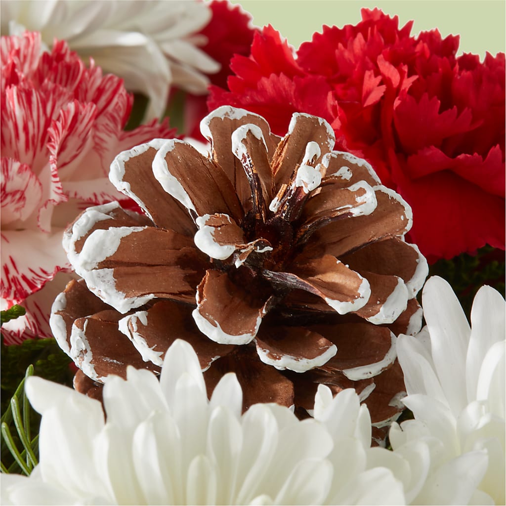 Candy Cane Lane Bouquet –  The Colonial Florist And Gift Shop, Huntingdon PA