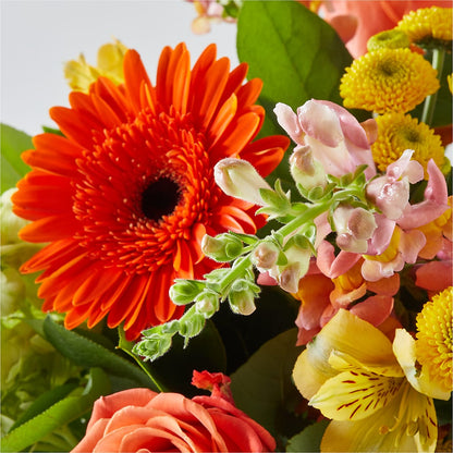 Autumn Sunshine Bouquet –  The Colonial Florist And Gift Shop, Huntingdon PA