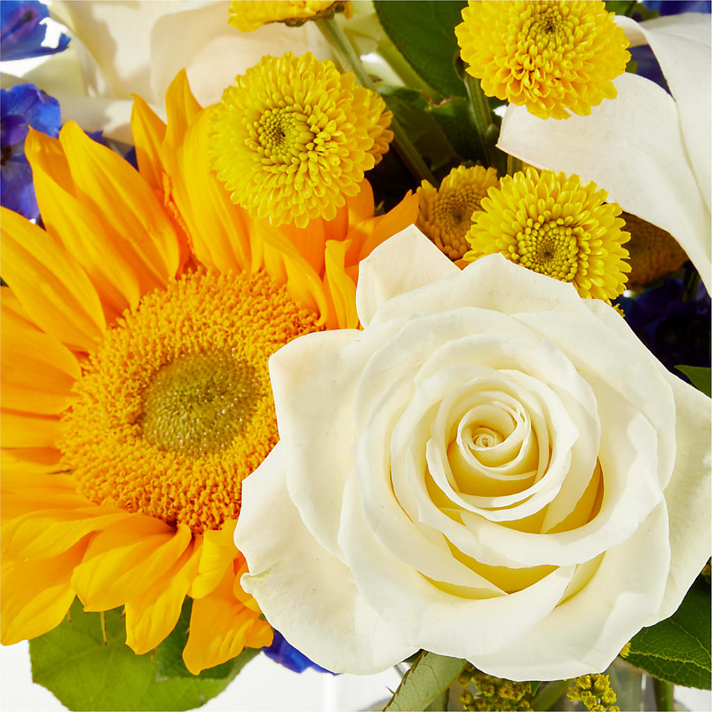 Stargazing Bouquet –  The Colonial Florist And Gift Shop, Huntingdon PA