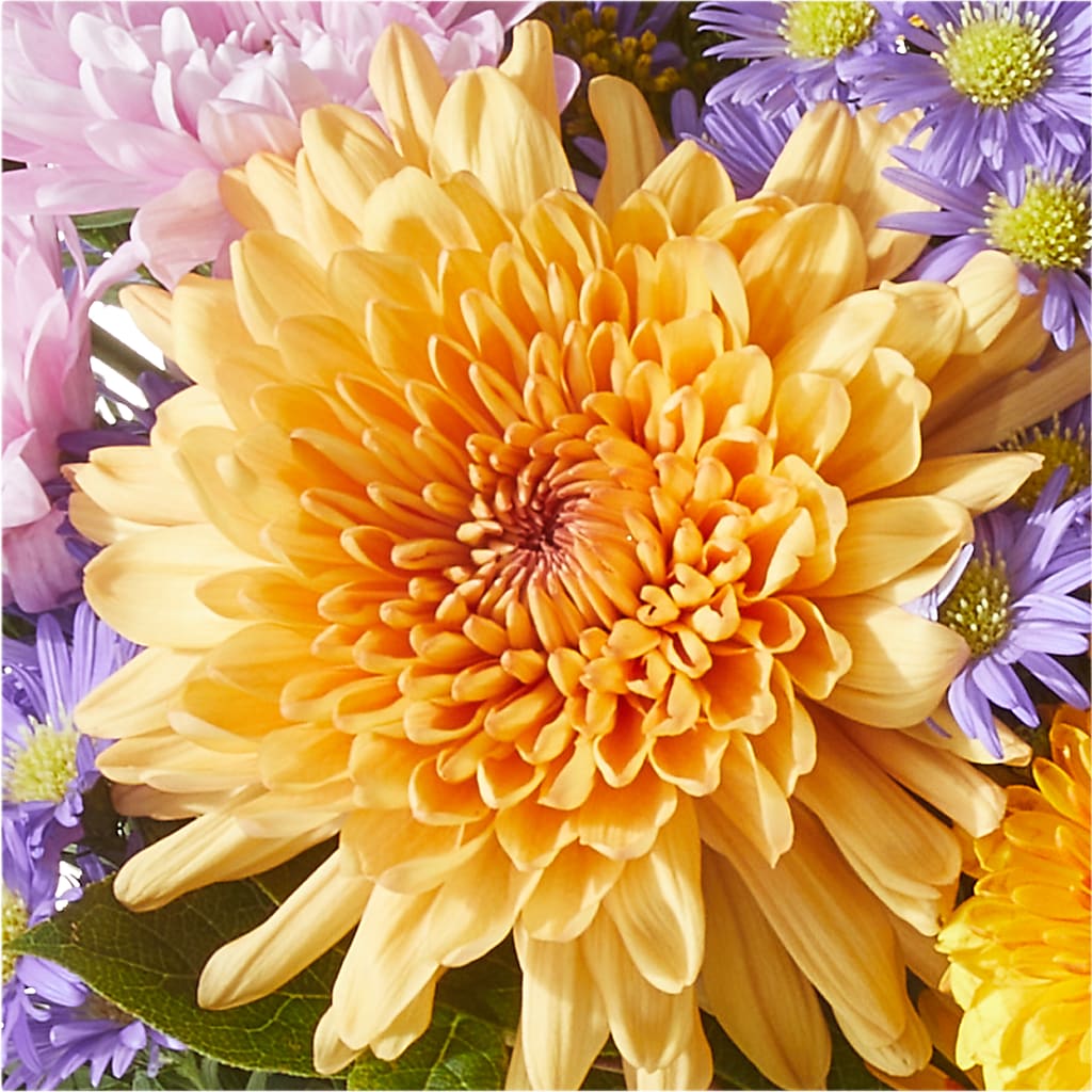 Countryside Bouquet –  The Colonial Florist And Gift Shop, Huntingdon PA