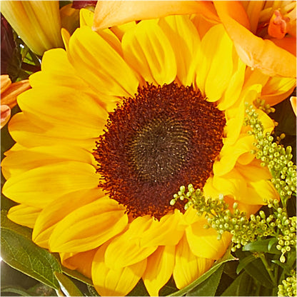 Seasons Change Bouquet –  The Colonial Florist And Gift Shop, Huntingdon PA