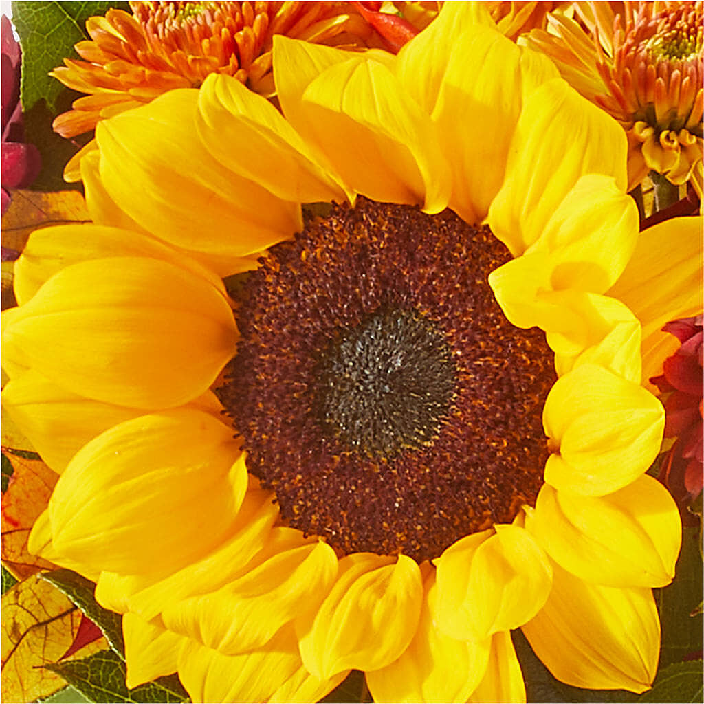 Sunny Side Bouquet –  The Colonial Florist And Gift Shop, Huntingdon PA