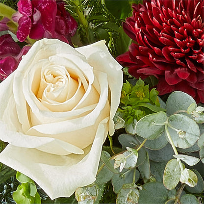Cranberry Fizz Bouquet –  The Colonial Florist And Gift Shop, Huntingdon PA