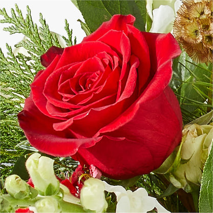 Deck the Halls Bouquet –  The Colonial Florist And Gift Shop, Huntingdon PA
