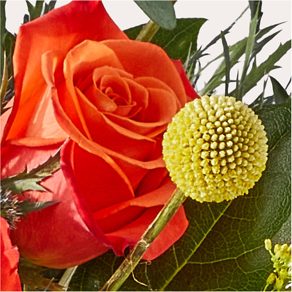 Disco Bouquet –  The Colonial Florist And Gift Shop, Huntingdon PA