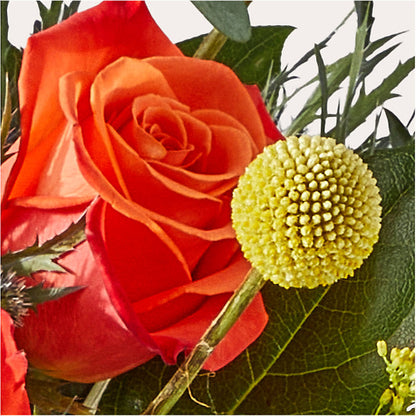 Disco Bouquet –  The Colonial Florist And Gift Shop, Huntingdon PA