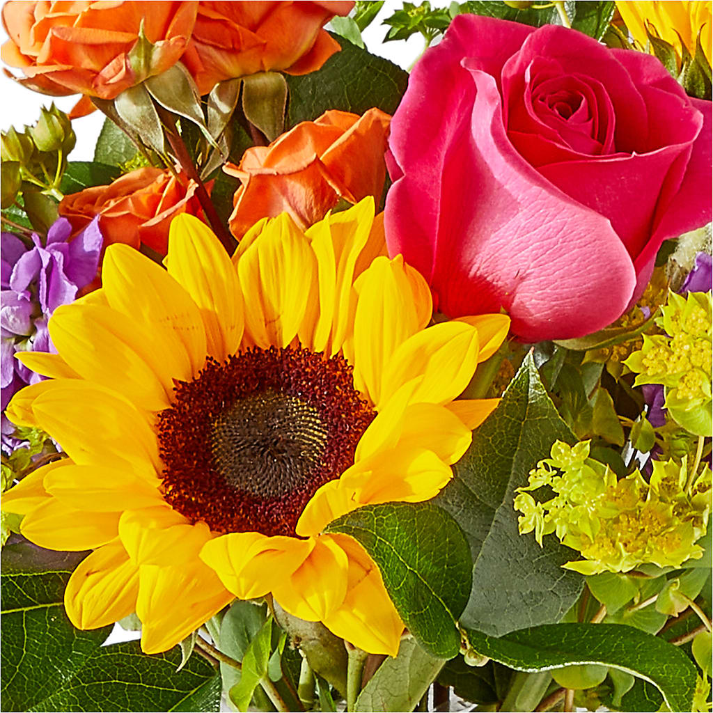 Vibrant Greetings Bouquet –  The Colonial Florist And Gift Shop, Huntingdon PA