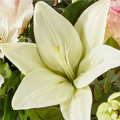 Ballet Slippers Bouquet –  The Colonial Florist And Gift Shop, Huntingdon PA