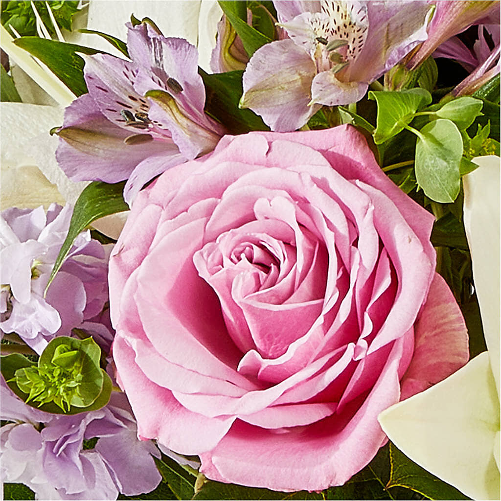 Daydreamer Bouquet –  The Colonial Florist And Gift Shop, Huntingdon PA