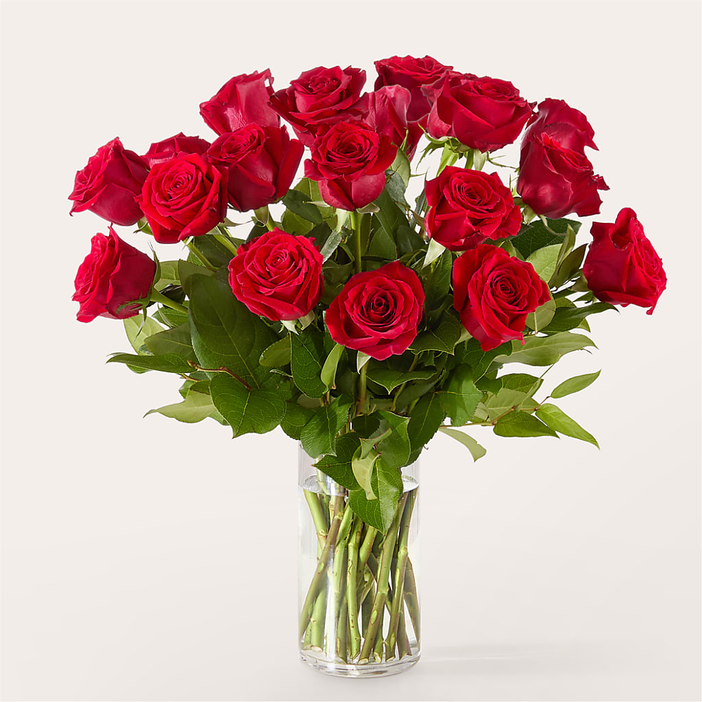 The One Red Rose Bouquet –  The Colonial Florist And Gift Shop, Huntingdon PA