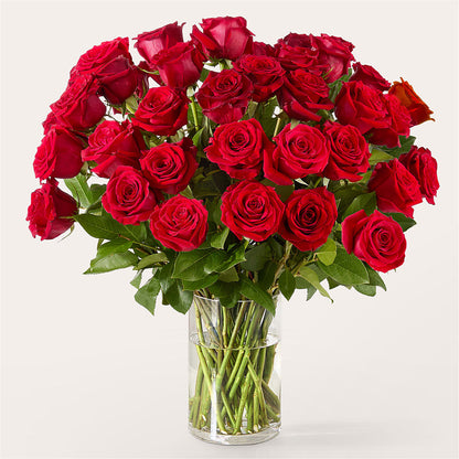 The One Red Rose Bouquet –  The Colonial Florist And Gift Shop, Huntingdon PA