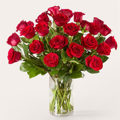 The One Red Rose Bouquet –  The Colonial Florist And Gift Shop, Huntingdon PA