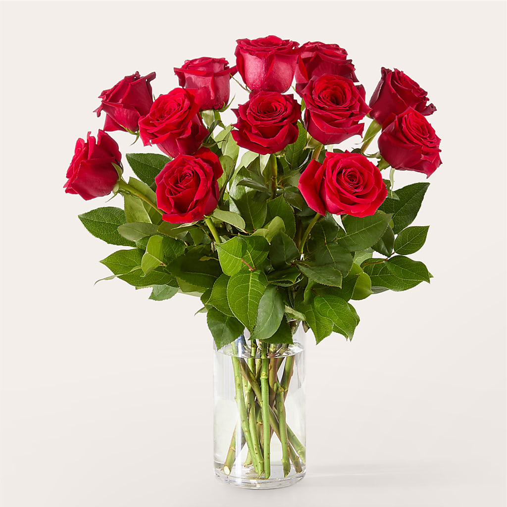 The One Red Rose Bouquet –  The Colonial Florist And Gift Shop, Huntingdon PA