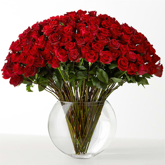 The Idealist –  The Colonial Florist And Gift Shop, Huntingdon PA