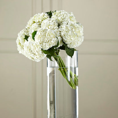 White Hydrangea Hand-Tied Bouquet –  The Colonial Florist And Gift Shop, Huntingdon PA