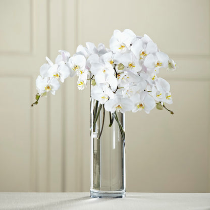 White Phalaenopsis Bouquet –  The Colonial Florist And Gift Shop, Huntingdon PA